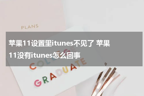 苹果11设置里itunes不见了 苹果11没有itunes怎么回事