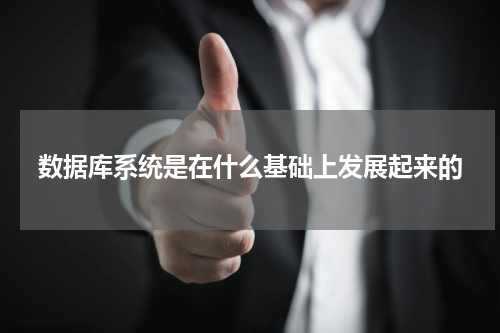 数据库系统是在什么基础上发展起来的
