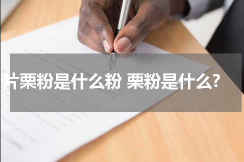 片栗粉是什么粉 栗粉是什么?