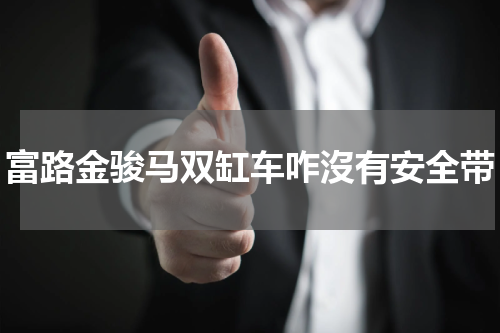 富路金骏马双缸车咋沒有安全带