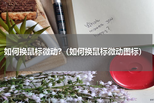 如何换鼠标微动?（如何换鼠标微动图标）