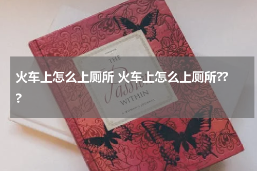 火车上怎么上厕所 火车上怎么上厕所???