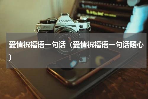 爱情祝福语一句话（爱情祝福语一句话暖心）