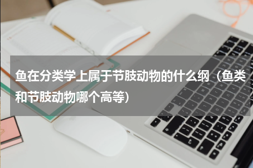 鱼在分类学上属于节肢动物的什么纲（鱼类和节肢动物哪个高等）