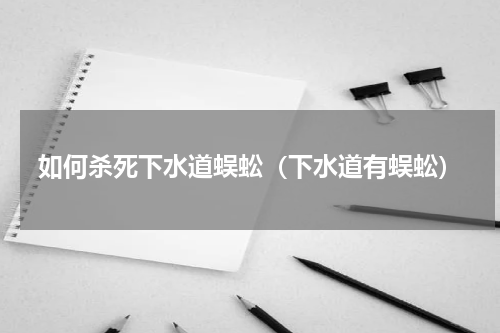 如何杀死下水道蜈蚣（下水道有蜈蚣）