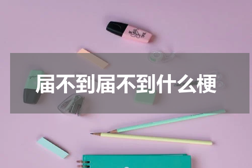 届不到届不到什么梗