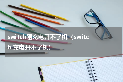 switch刚充电开不了机（switch 充电开不了机）