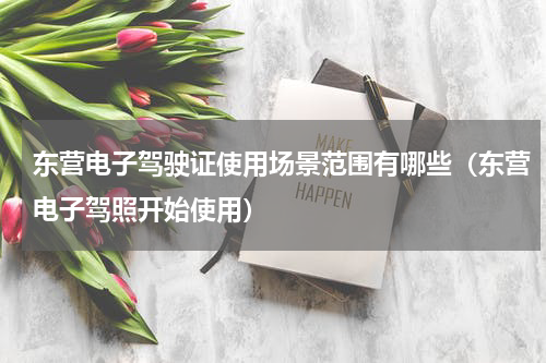 东营电子驾驶证使用场景范围有哪些（东营电子驾照开始使用）
