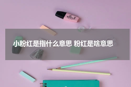 小粉红是指什么意思 粉红是啥意思