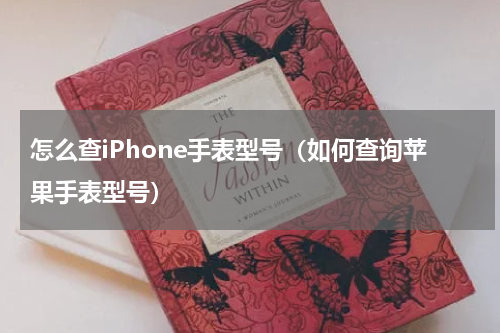怎么查iPhone手表型号（如何查询苹果手表型号）