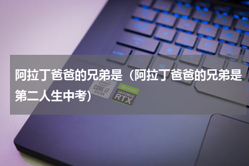 阿拉丁爸爸的兄弟是（阿拉丁爸爸的兄弟是第二人生中考）