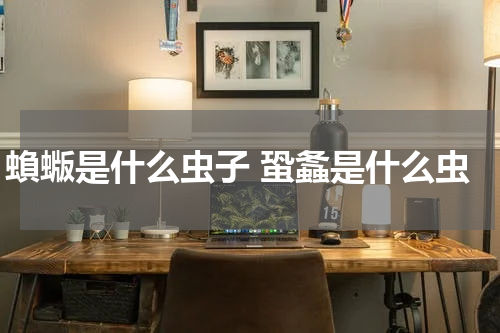 蝜蝂是什么虫子 蛩螽是什么虫