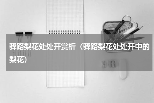 驿路梨花处处开赏析（驿路梨花处处开中的梨花）