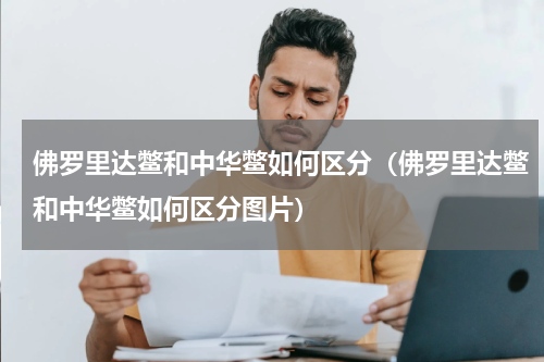 佛罗里达鳖和中华鳖如何区分（佛罗里达鳖和中华鳖如何区分图片）