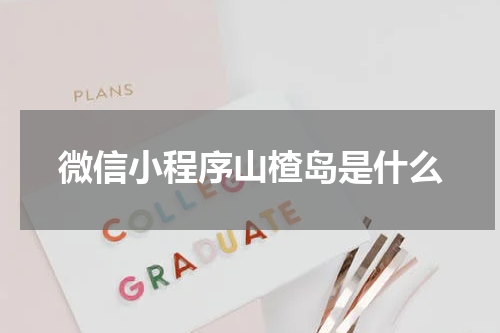 微信小程序山楂岛是什么