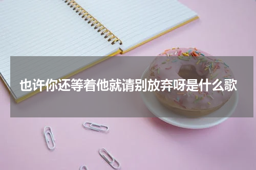 也许你还等着他就请别放弃呀是什么歌