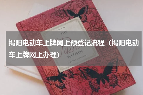 揭阳电动车上牌网上预登记流程（揭阳电动车上牌网上办理）