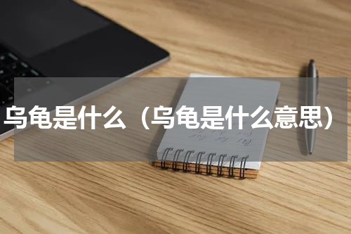 乌龟是什么（乌龟是什么意思）