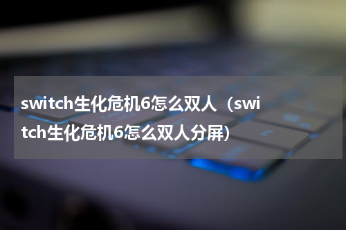 switch生化危机6怎么双人（switch生化危机6怎么双人分屏）