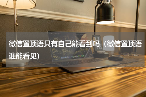 微信置顶语只有自己能看到吗（微信置顶语谁能看见）