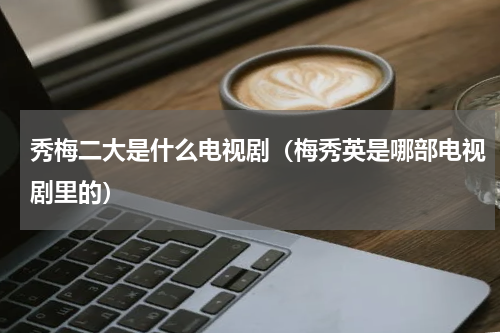 秀梅二大是什么电视剧（梅秀英是哪部电视剧里的）