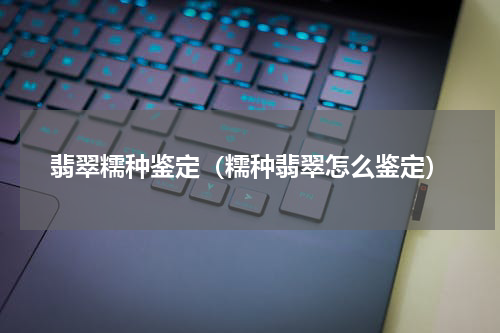 翡翠糯种鉴定（糯种翡翠怎么鉴定）