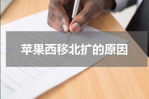 苹果西移北扩的原因