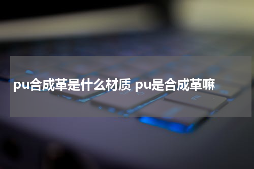 pu合成革是什么材质 pu是合成革嘛