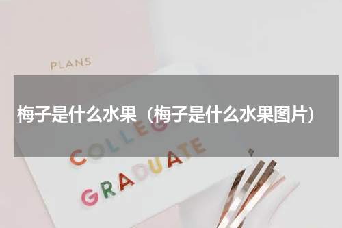 梅子是什么水果（梅子是什么水果图片）
