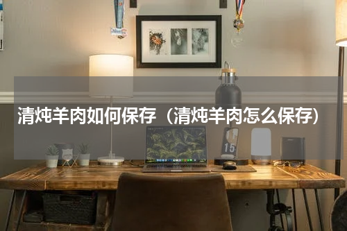 清炖羊肉如何保存（清炖羊肉怎么保存）