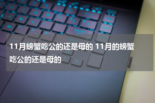 11月螃蟹吃公的还是母的 11月的螃蟹吃公的还是母的