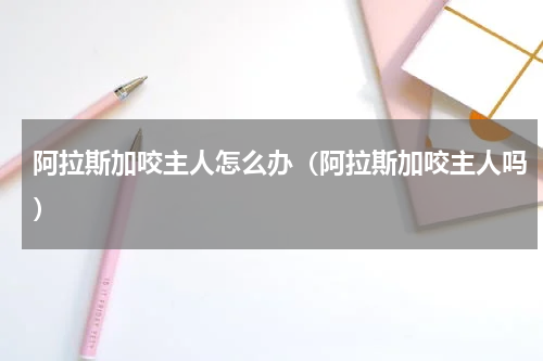 阿拉斯加咬主人怎么办（阿拉斯加咬主人吗）