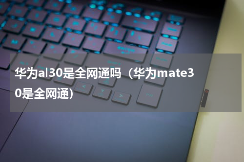 华为al30是全网通吗（华为mate30是全网通）