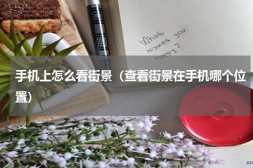 手机上怎么看街景（查看街景在手机哪个位置）