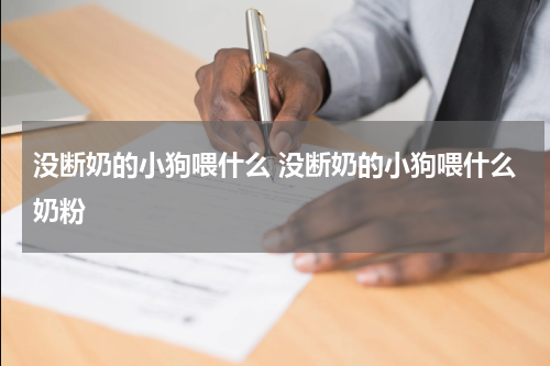 没断奶的小狗喂什么 没断奶的小狗喂什么奶粉