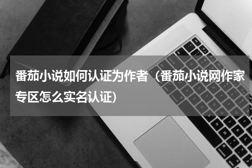 番茄小说如何认证为作者（番茄小说网作家专区怎么实名认证）