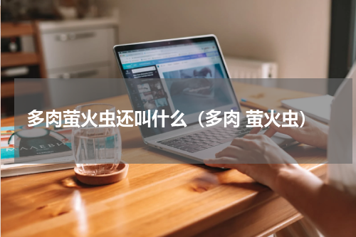 多肉萤火虫还叫什么（多肉 萤火虫）