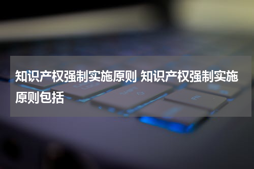 知识产权强制实施原则 知识产权强制实施原则包括