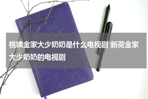 桃姨金家大少奶奶是什么电视剧 新荷金家大少奶奶的电视剧