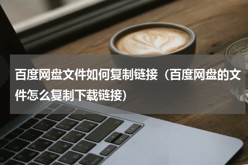 百度网盘文件如何复制链接（百度网盘的文件怎么复制下载链接）