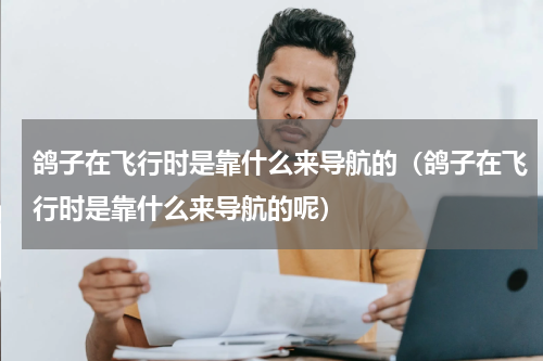 鸽子在飞行时是靠什么来导航的（鸽子在飞行时是靠什么来导航的呢）