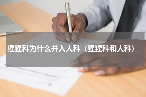 猩猩科为什么并入人科（猩猩科和人科）