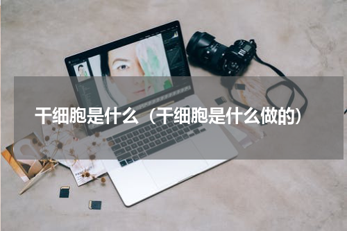 干细胞是什么（干细胞是什么做的）