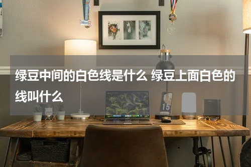 绿豆中间的白色线是什么 绿豆上面白色的线叫什么
