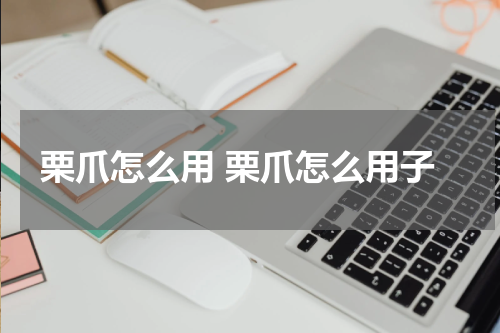 栗爪怎么用 栗爪怎么用子