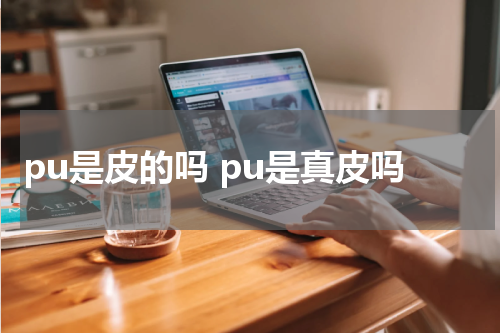pu是皮的吗 pu是真皮吗