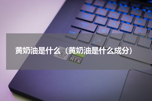黄奶油是什么（黄奶油是什么成分）