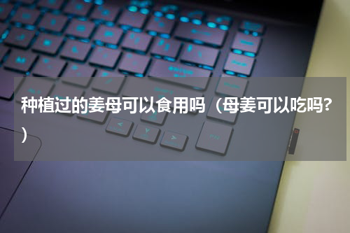 种植过的姜母可以食用吗（母姜可以吃吗?）