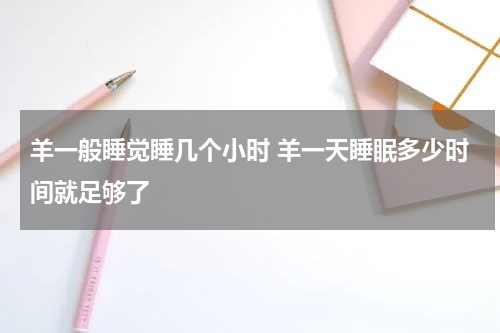 羊一般睡觉睡几个小时 羊一天睡眠多少时间就足够了
