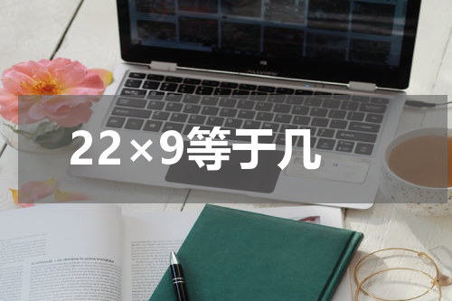22×9等于几